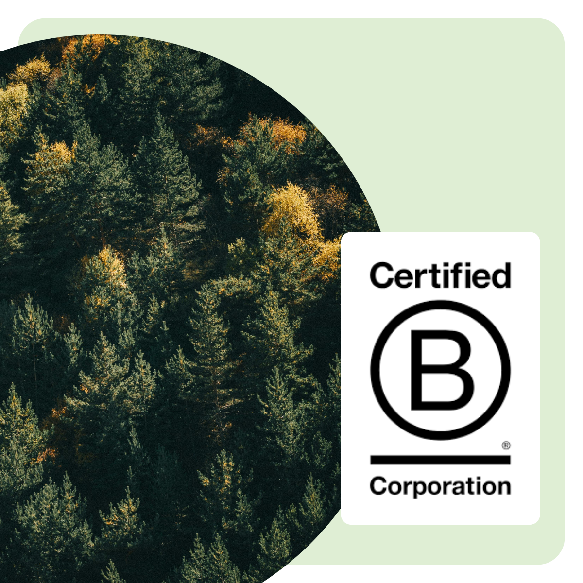 B Corp new standards