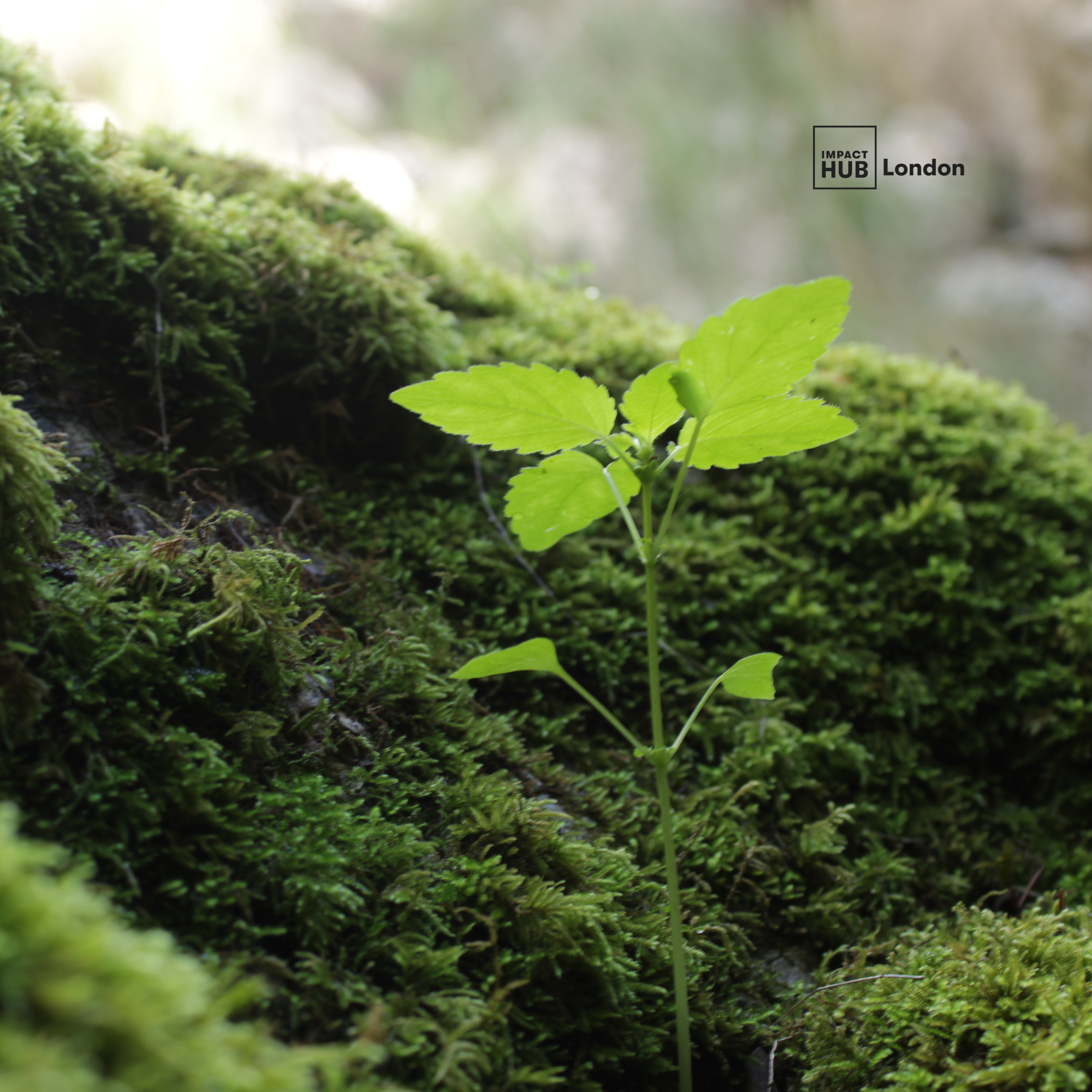 why-does-sustainability-feel-so-hard